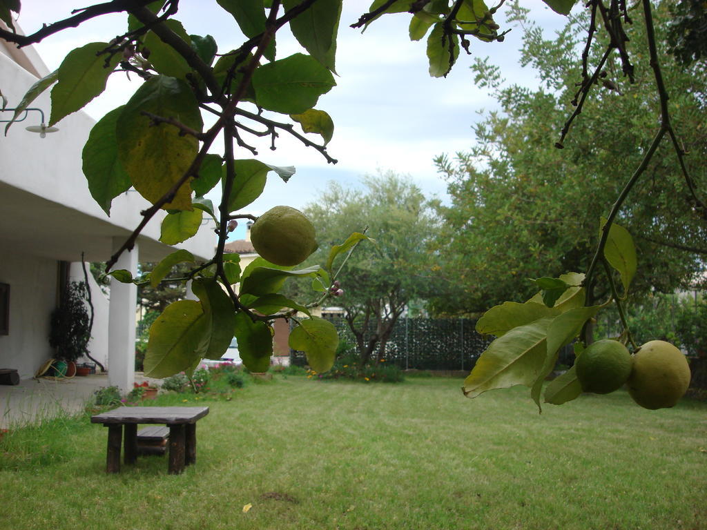 GaltellìGrazia Deledda住宿加早餐旅馆 外观 照片